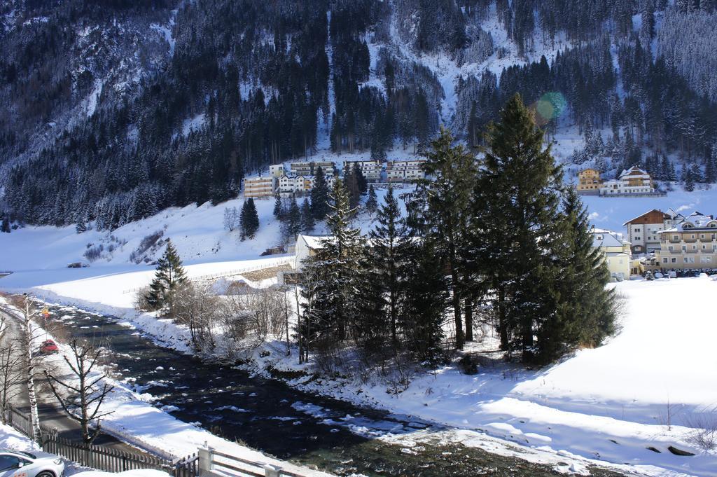 Alpinea *